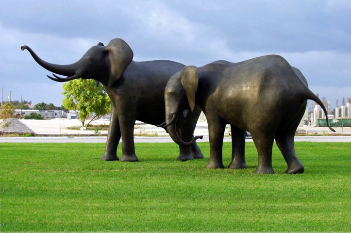 elephants