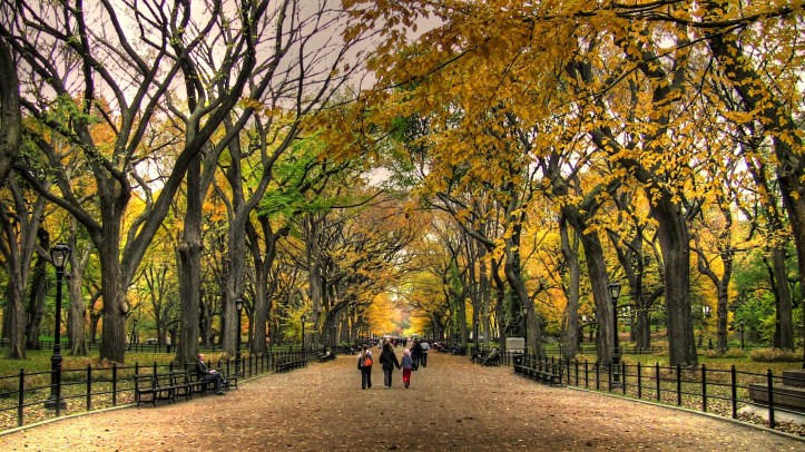 OTOÑO CENTRAL PARK1000