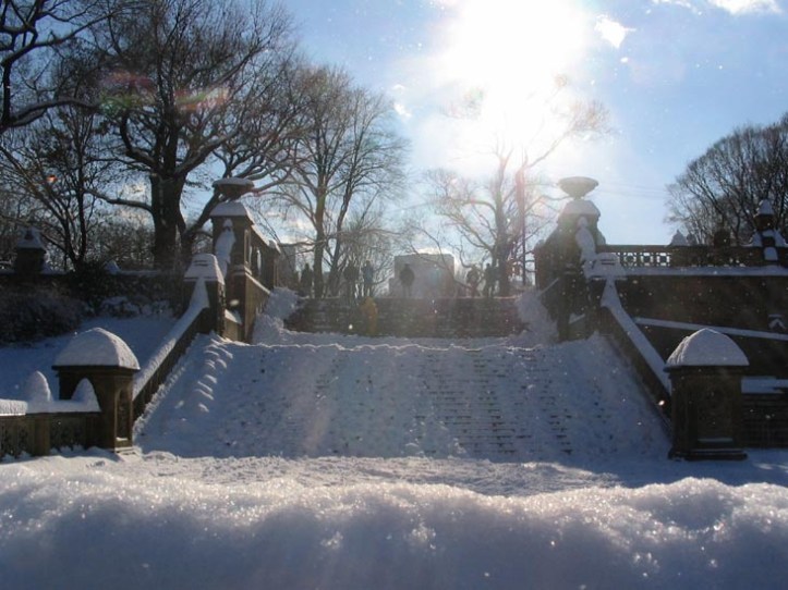 Invierno en Central Park