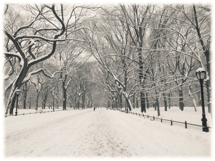 Invierno en Central Park 2