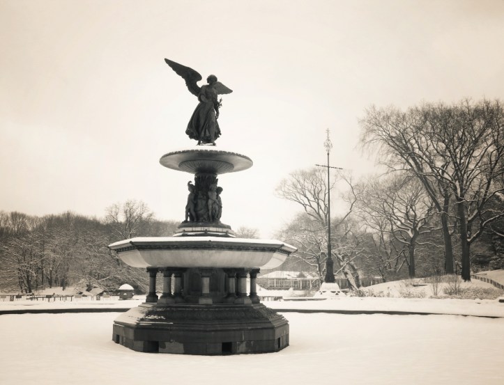 Invierno en Central Park