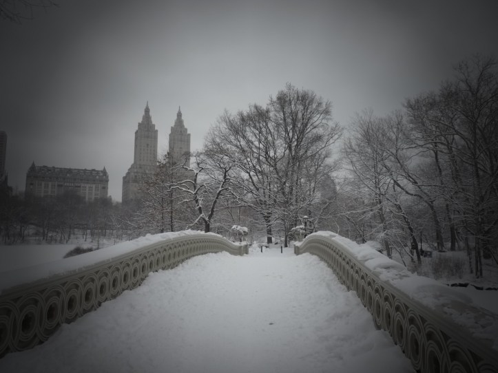 Invierno en Central Park03