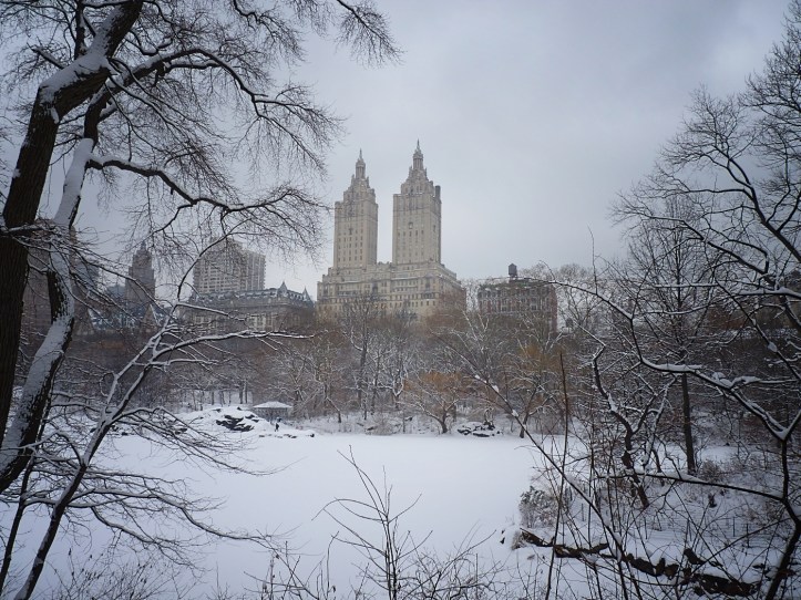 Invierno en Central Park04