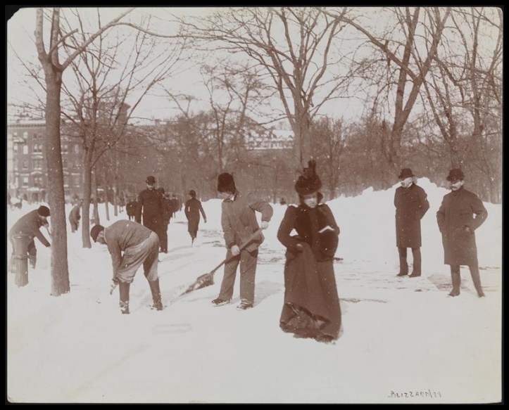 Blizzard 189903