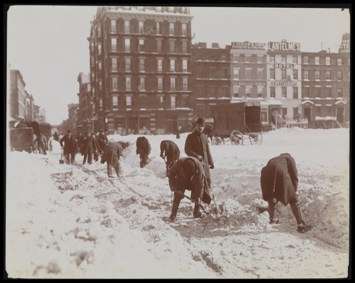 Blizzard 189911