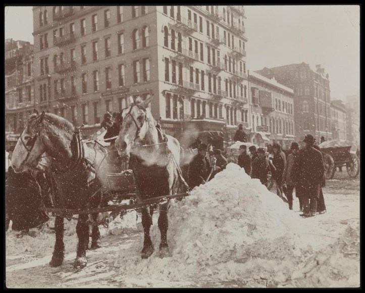Blizzard 189914