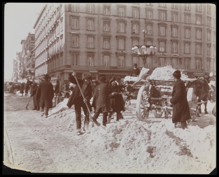 Blizzard 189916