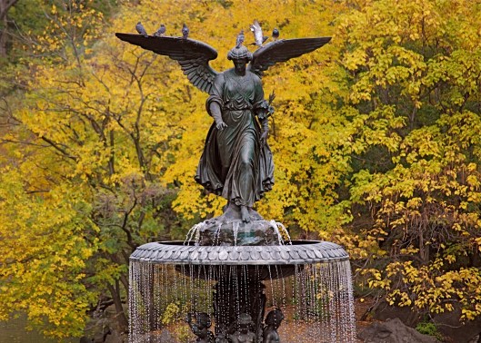 Central Park- Betsheda Fountain