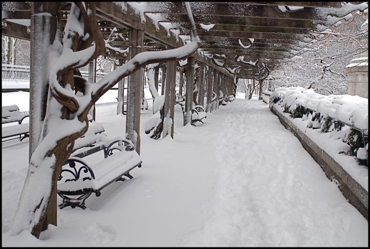 Central Park después de Nemo01