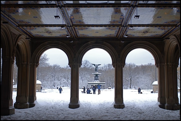 Central Park después de Nemo03