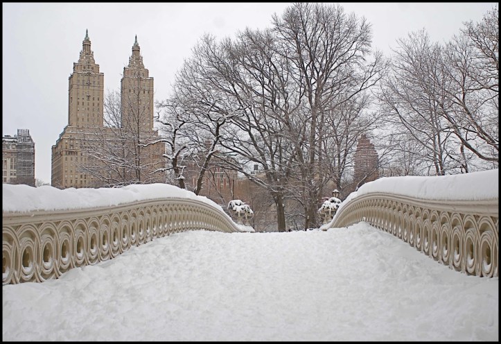Central Park después de Nemo07