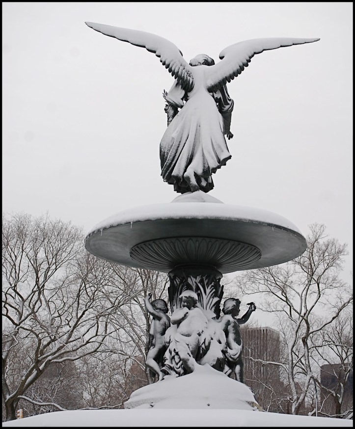 Central Park después de Nemo09