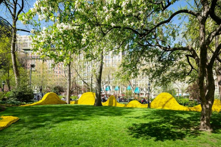 Red, Yellow and Blue in Madison Square Park 3