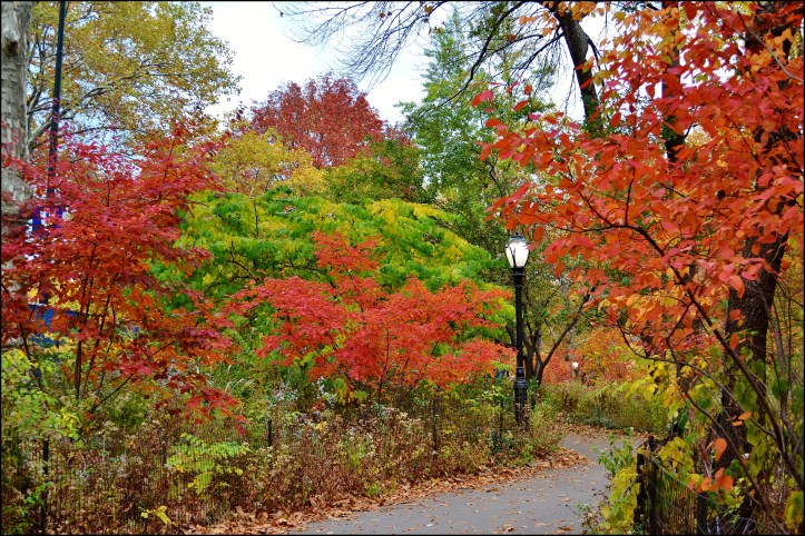 Central Park otoño006