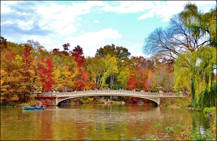 Central Park otoño008