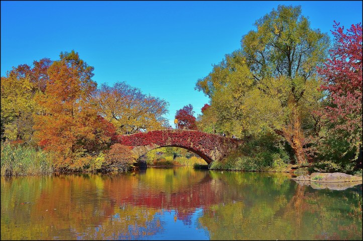 Central Park otoño009