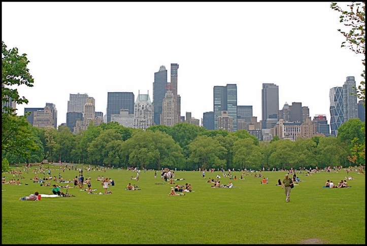 Sheep Meadow