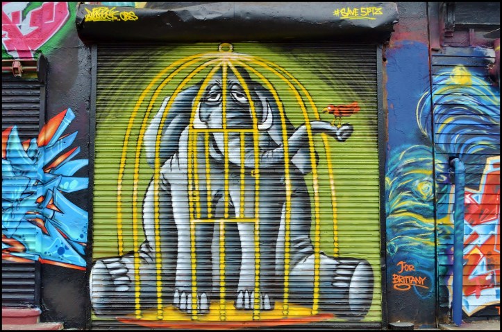 5Pointz009