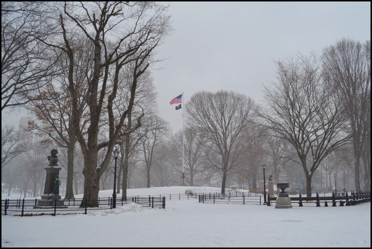Central Park Winter004