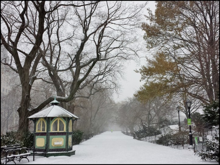 Central Park Winter006