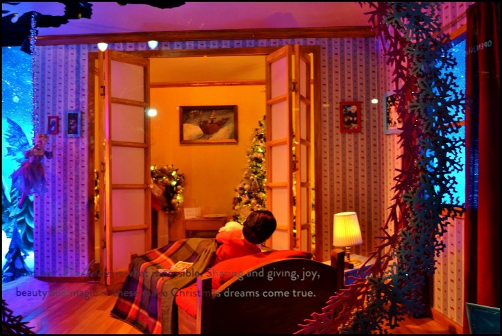 holiday-show-window010