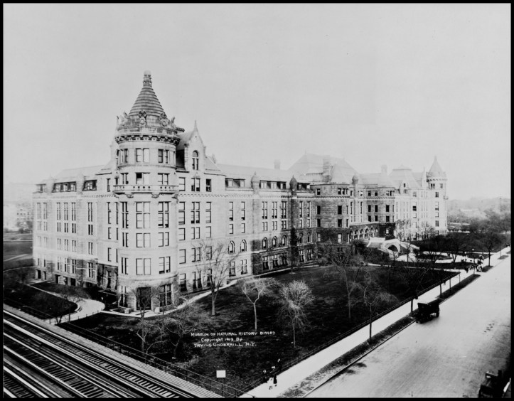 American Museum of Natural History (1913)