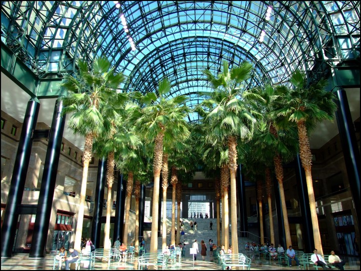 World Financial Center Winter Garden