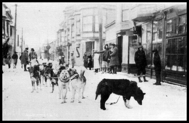 Llegada a Nome con el suero salvador