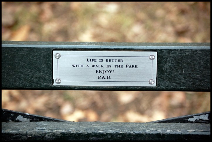 Central Park placa (2)