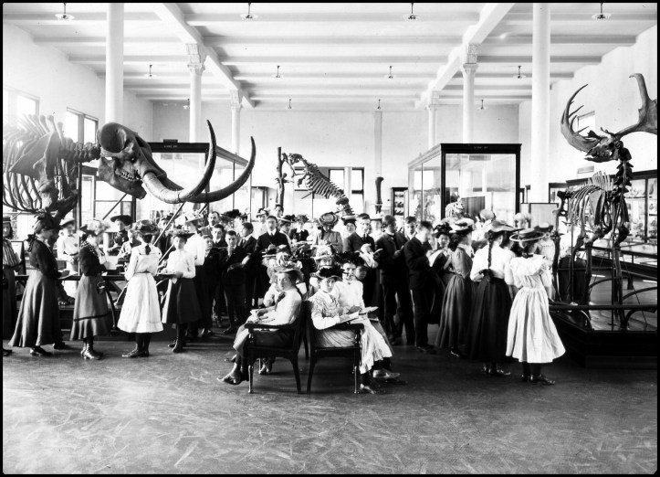 High school students in Fossil Mammal Hall of the American Museum of Natural History