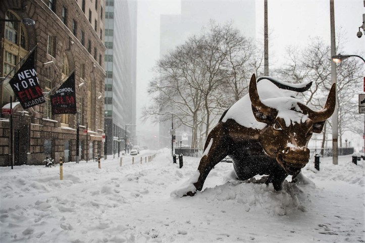 Toro Wall Street Jonas