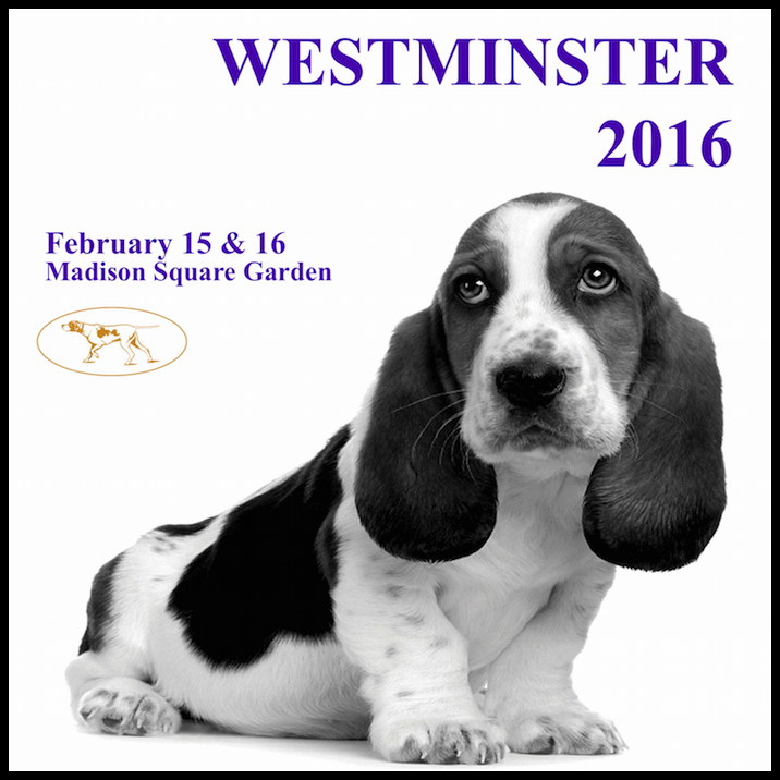 The Westminster Kennel Club 140th Annual Dog Show