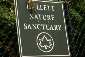 HallettNatureSantcuary-2.jpg.838x0_q80